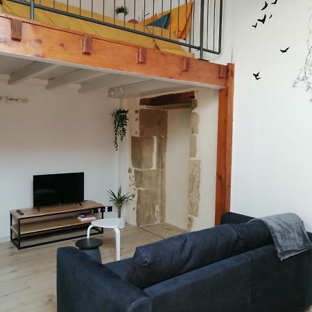 Le Studio D'Emma Apartment Romans-sur-Isère Exterior foto