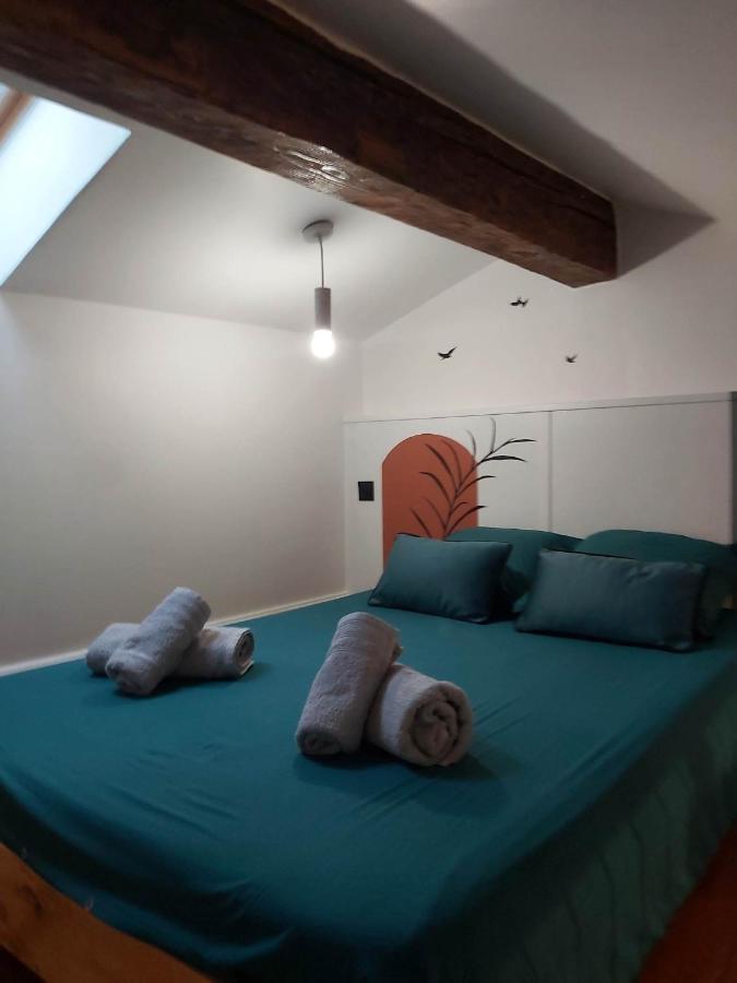 Le Studio D'Emma Apartment Romans-sur-Isère Exterior foto